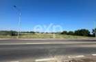 Teren intravilan premium 15.000 mp la DN61 langa Centura G - 13