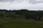 Teren 14.485 m.p. - Iacobeni, Suceava - 1