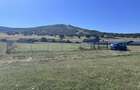 Casă cu 4 camere cu Teren 2000 Mp în Poiana Stampei - 5