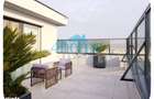 Penthouse Dristor | Mihai Bravu | Terasa Panoramica | Parcare - 4