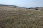 Teren 5000 mp la Tureni Cluj - 8