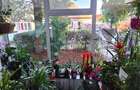 De Vanzare: Spatiu Comercial Proprietate Personala, Parter Campia Turzii (Str. Gh. Baritiu) - 1