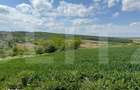 Teren extravilan 6.800 mp Zaicesti Oportunitate investitie - 1