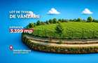 Teren intravilan Adunatii Copaceni | 3.399 mp | Ideal investitie - 3