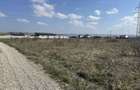 Teren Walter Maracineanu 6000 mp (90 m front stradal) Stejarului - 1