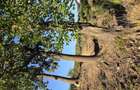 Vand teren Intravilan de casa in Recea Maramures - 1