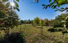 Casă individuală, teren 1.929 mp, acces spre Bega – Remetea Mare