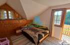 Casa de vacanta /Cabana de vanatoare Soveja - Vrancea - Soveja (Vrancea)