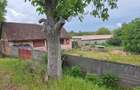 Vand casa cu gradina la Minis-Ghioroc - 6