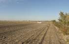 Teren 53.500 mp la iesirea din Sanpaul spre Sofronea, F.S. la DJ
