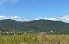 Teren de vanzare Calimanesti - Valcea
