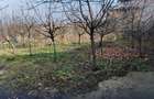 Teren intravilan 345 mp Vidra, deschidere 12 m, ideal pentru construct