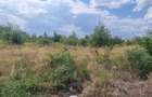 Vand 21000 mp teren int. cc, Pitesti, vis a vis de pavilionul Arpechim