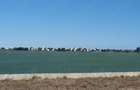Teren de vanzare in Palazu Mare primul rand la lacul Siutghiol - 3