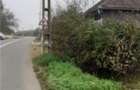 RECO Teren de Vanzare in Inand 1360 MP - 3