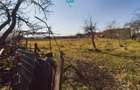 Casă cu Potențial Imens în Șipet, Comuna Tormac - 20