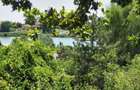 Vila 6 camere-teren 1800mp-Snagov Izvorani-lac - 1