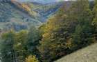 Teren extravilan cu priveliste catre Bucegi Moieciu de Jos 4.700 mp - 6