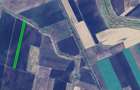 Vand teren agricol in Becicherecu Mic - 2