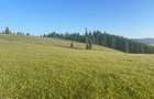 50 hectare teren | Moldova-Sulita | Potential turistic si agricol