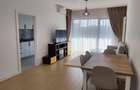 Apartament 2 camere DECOMANDAT, Silk District - 4