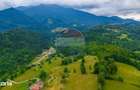 Teren intravilan 2,410mp Rasnov - Valea Panicelului, vedere panoramica - 3