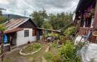 Casa Traditionala de vanzare - 8