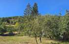 Casa de vanzare cu teren de 2300 mp - poalele dealului, langa The Village - 8