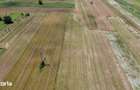 Teren 5000 mp|Deschidere 28 ml|Utilita?i|Langa padure|Magureni Prahova