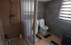 Casa moderna constructie noua, mobilata si utilata, ideala pentru 2 familii - 5