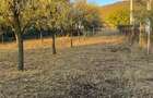 Teren intravilan Cicarlau de 11,92 arii