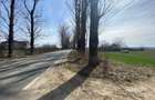 Teren intravilan | 5000 mp | Snagov