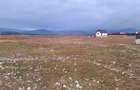 Teren 1450m- Carpinis/Tarlungeni, intravilan - 14