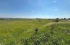 Teren de vanzare Suceava - 5