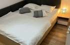 Studio si apartament 2 camere de inchiriat - 7