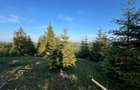 50 hectare teren | Moldova-Sulita | Potential turistic si agricol