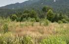 Teren intravilan, 1000 mp, proiect duplex P+E, zona Sinaia - Zamora - 16