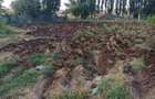 Casă cu Teren 1465 Mp în Dulceanca - 4