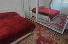 Apartament 4 Cam Splaiul Cri?anei, Proprietar - 9