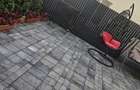 Apartament 2 camere cu gradina proprie - 2