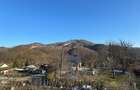 Casă 3 dormitoare, 90 mp, teren 10 ari, zona Firiza