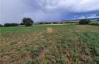 Casă cu 3 camere cu Teren 7000 Mp în Zvoriștea - 15
