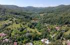Teren Intravilan 8.277 mp Provița de Jos – Utilități, Râu & Pădure - 4