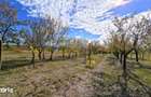 Teren intravilan cu livada 1.000 m2 in Ardud-Vii, view spectaculos!
