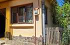Casa de vanzare cu teren in Cinta - 6
