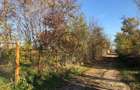 Teren intravilan de vanzare | 12.650 mp | Ghirdoveni | Comision 0%