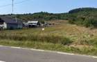 Teren de 3900 mp, în Conțești - 3