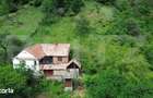 Casa traditionala, investitie potential de dezvoltare, 65 mp, Capalna, - 10