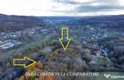 PADURE LANGA ORAS ACCES BUN IDEALA PENTRU ACTIVITATI DE AGRE - Ramnicu Valcea (Valcea) - 12