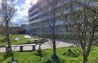 Vand apartament tip studio, excelent pt investitii, cartierul Gheorgheni - 4